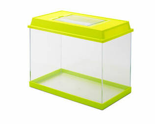 Savic Fauna Box Kunststoff Mehrzweckbox - Transport für Kaninchen und Nagetiere - 5411388001360 - 1