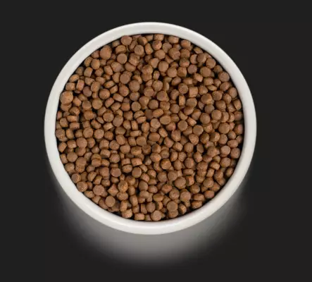 Grandorf C 4 Meat Adult 400g - Specialtorrfoder för katter - 5407007851270 - 2