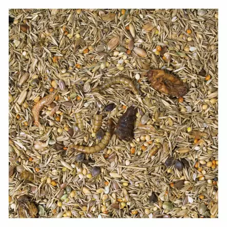 Jr. Farm Small Rodent special 600g - Kost för gnagare - 4024344117510 - 2