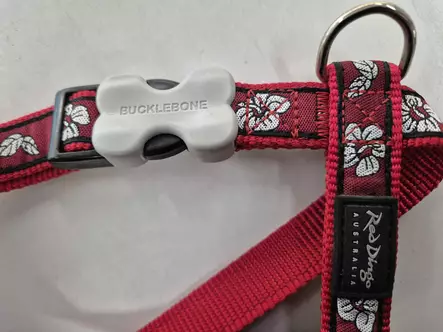 Red Dingo Harness - Dog Harnesses OUTLET - 9330725008830 - 2