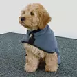 Nobby Dog Bathrobe - Dog Coats and Overalls - 4033766534300 - 5