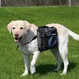 Rucksack für Hunde - Trainingswesten und Futtertaschen - 4011905301020 - 1