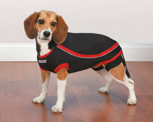 Kong Anxiety-Reducing Shirt - Dog Coats and Overalls - 721343718000 - 1