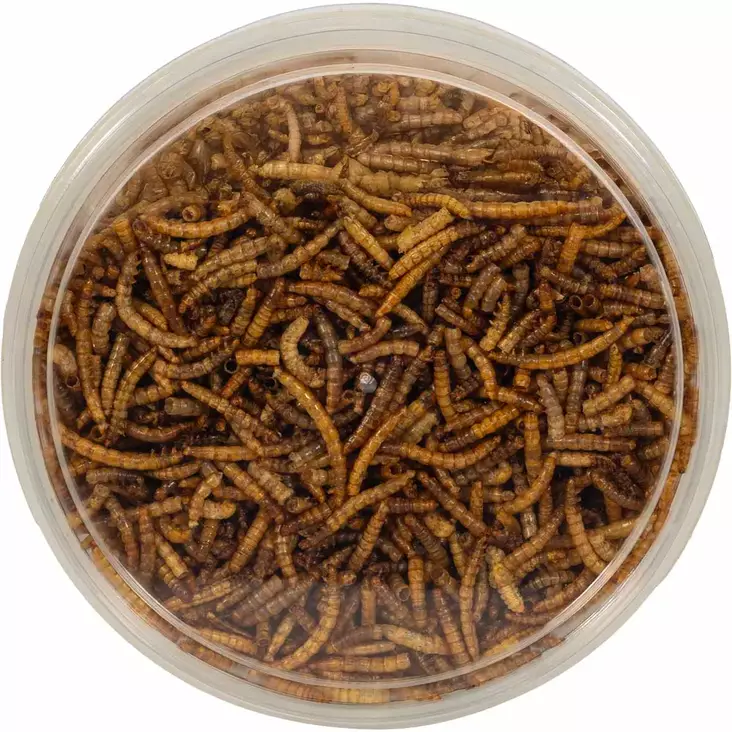 Bello Kuivatut Jauhomadot 200g - Vogelfutter und Leckereien - 7330002057430 - 2