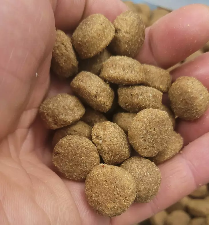 Frank's Breeder ORIGINAL 20 kg Hundfoder - Franks Pro Gold hundfoder för vuxna - FBORIGINAL20 - 1