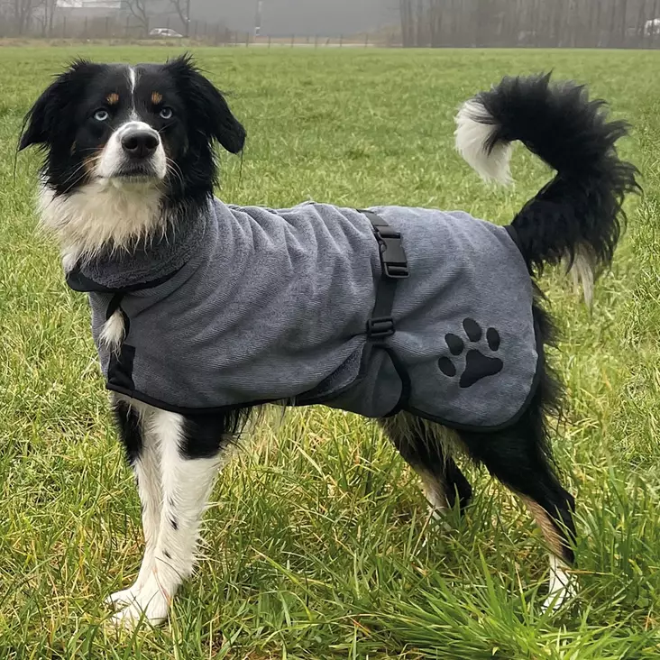 Nobby Dog Bathrobe - Dog Coats and Overalls - 4033766534300 - 1