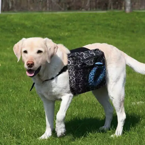 Rucksack für Hunde - Trainingswesten und Futtertaschen - 4011905301020 - 1