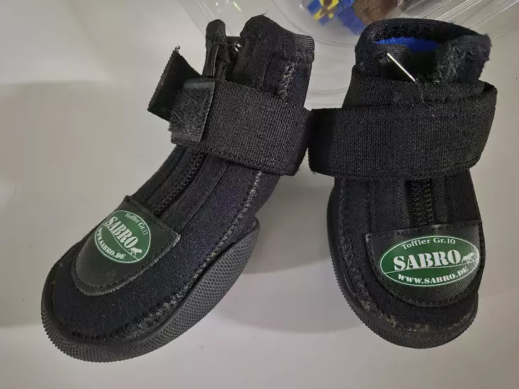 Toffler Sabro Außenschutzschuh Größe 10 (1 Stück) - Hunde Schuhe - SABRO10 - 1