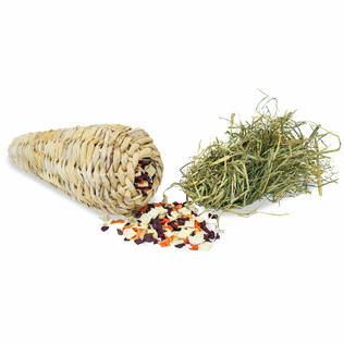 Jr. Farm Stuffed Chew Carrot 125g - Rabbit and Rodent Treats - 4024344238161 - 2