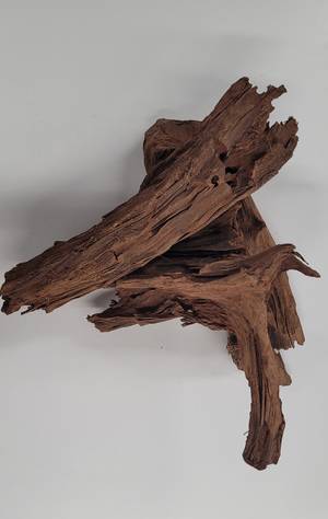 Mangrove Root - Aquarium Driftwood - MANGROVE1 - 2