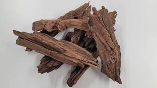 Mangrove Root - Aquarium Driftwood - MANGROVE1 - 1