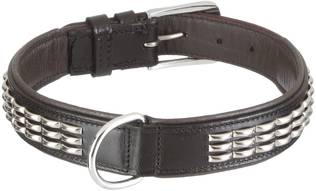 Nobby Lederhalsband mit Metalldekorationen - Hunde Lederhalsbänder - 4033766072291 - 1