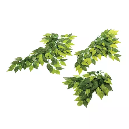 Komodo Banyan Plant 30cm - Terrarium Decor - 701029825581 - 1