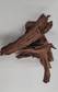 Mangrove Root - Aquarium Driftwood - MANGROVE1 - 2