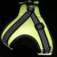 Finnero HALI Harness for Cats or Dogs - FinNero Dog Harnesses - 6438406010011 - 2