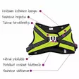 Finnero HALI Harness for Cats or Dogs - FinNero Dog Harnesses - 6438406010011 - 19