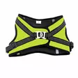 Finnero HALI Harness for Cats or Dogs - FinNero Dog Harnesses - 6438406010011 - 11