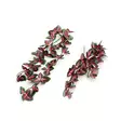 Komodo Perilla Plant 30cm - Terrarium Decor - 701029825611 - 1