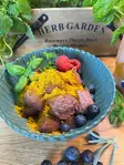 Nordic Gut Berry 100g - Hunde-Nahrungsergänzungen - 6429830298731 - 3