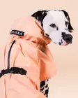 Paikka Raincoat Peach 30cm - Hundejacken und -overalls - 6440003200221 - 3