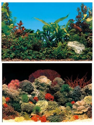 Aquarien Hintergrund 2-seitig 120x50cm - Aquariumdeko - 8010690065441 - 1