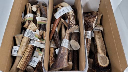 Beeztees Rådjurshorn hundgodis - Tuggben för hundar - 8712695179481 - 1