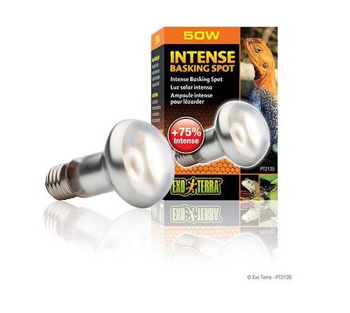 ExoTerra Intense Basking Spot 50W - Terrarium Lighting and Heating - 015561221351 - 1