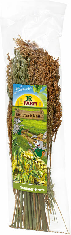 Jr. Farm Sommarhöst gnagarsnacks 80g - Godisarer för kaniner och smådjur - 4024344117251 - 1