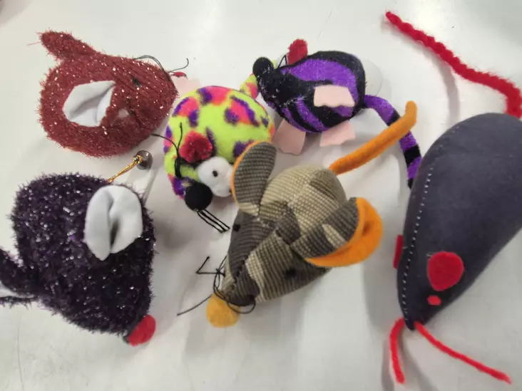 Kattmus - Kattens leksmus - HIIRET1 - 1