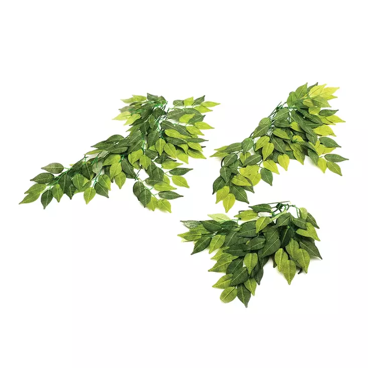 Komodo Banyan Plant 30cm - Terrarium Decor - 701029825581 - 1