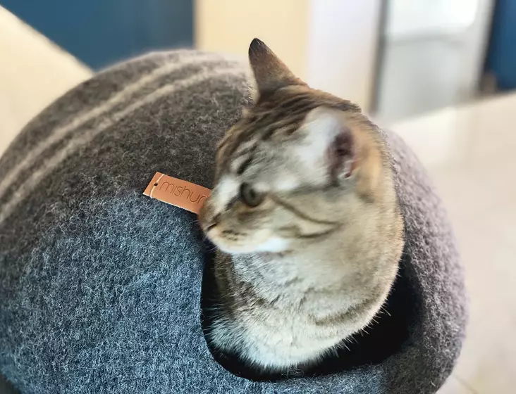 Mishum Petra Cave Cat Bed - Cat Beds - MISHUM1 - 1