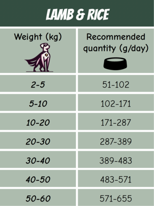 POW! Dog Lamb Rice Single Protein Dog Food - Specialty Dry Foods - 7350040129982 - 2