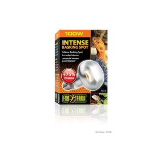 ExoTerra Intensiv-Basking Spot 100W - Terrarien Beleuchtung und Heizung - 015561221382 - 1