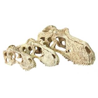 T-Rex Skull Decoration - Terrarium Decor - 701029829442 - 2