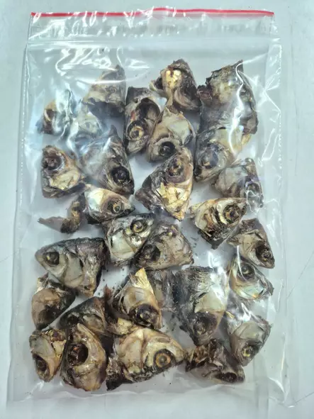 Eväkäs Kuivattu Särkikalan pää 70g - Hundgodis - 6418142002082 - 2