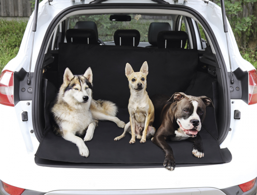 Nobby Bagagerumsöverdrag för skydd av baklucka - Hundskydd och tillbehör för bil - 4033766609022 - 1