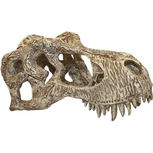 T-Rex Skull Decoration - Terrarium Decor - 701029829442 - 1