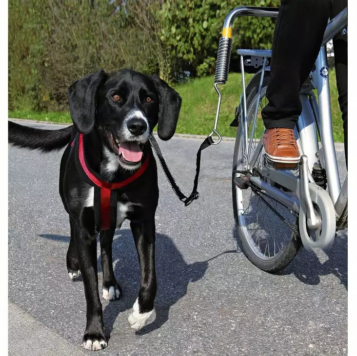 Trixie Biker Set Cykelsystem för Stora Hundar och Llamor - Hjälpmedel för hundträning - 4011905012872 - 1