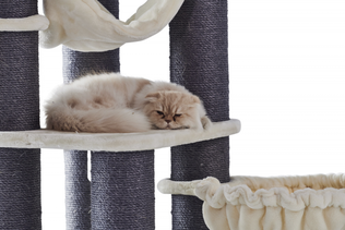 Nobby Scratch’n’Play Chilo Klösträd - Kattens klätterträd - 4033766118043 - 2