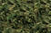 Jr. Farm Dried Nettle 80g - Rabbit and Rodent Treats - 4024344070983 - 2