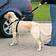 Trixie Dog Seat Belt Harness - Dog Car Harnesses and Accessories - 4011905012933 - 2