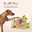 Pet Head Paw Butter Coconut - Gesundheit und Pflege von Hunden - 886284906623 - 3