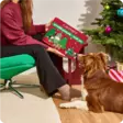 RAUH! Nutriment Kalenteri - Dog Treats - 6438047210023 - 2