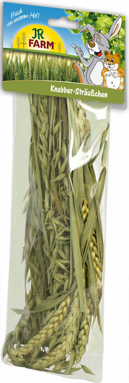 Jr. Farm Nibble Posy Treat for Small Animals 25g - Rabbit and Rodent Treats - 4024344006883 - 1