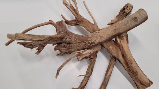 Talawa Wood Baumstamm für Aquarium und Terrarium - Aquarium Wurzeln - 4260092572953 - 1