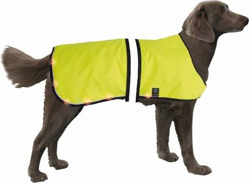 Nobby Starlight Hundens Reflexväst med LED-lampor - Reflexer och varselvästar - 4033766783203 - 1