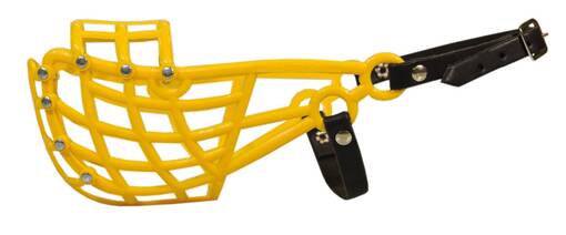 Whippet Hundehütte - Hundemaske und Halsbänder - KOPPA3 - 1