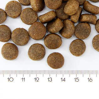 ProBooster Adult Sensitive Salmon Dog Food - ProBooster Dry Dog Food - 6438411004834 - 2