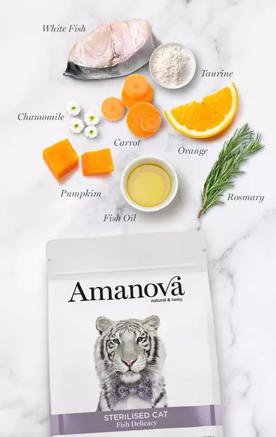Amanova Cat Adult Sterilised White Fish and Pumpkin Grain-Free Cat Food - Specialized Dry Cat Food - 8413037331504 - 2