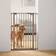 Savic Dog Barrier - Dog Fences and Gates - 5411388032104 - 1